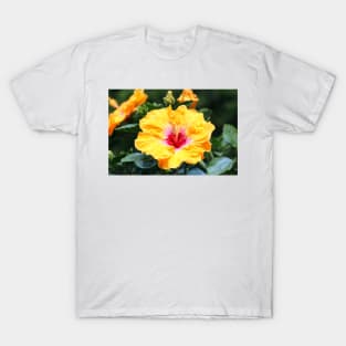 Hibiscus Beauty T-Shirt